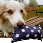 Bio Hundespielzeug Naturmaterialien Dog Filous.